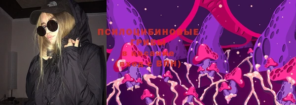 стаф Бронницы